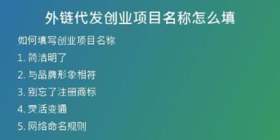 外鏈代發(fā)創(chuàng)業(yè)項(xiàng)目名稱怎么填