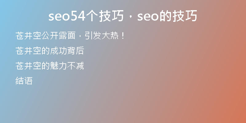 seo54個(gè)技巧，seo的技巧