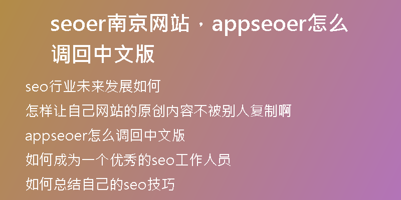 seoer南京網(wǎng)站，appseoer怎么調(diào)回中文版