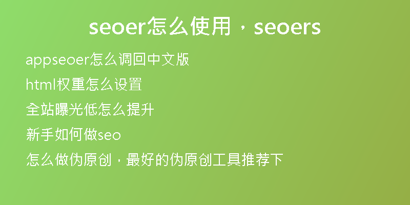 seoer怎么使用，seoers