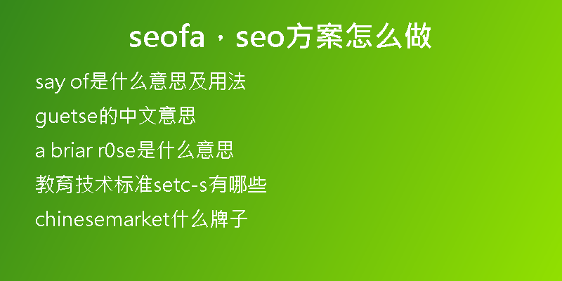 seofa，seo方案怎么做