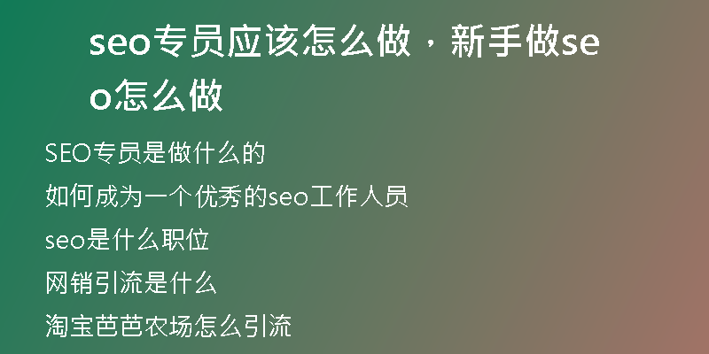 seo專員應(yīng)該怎么做，新手做seo怎么做