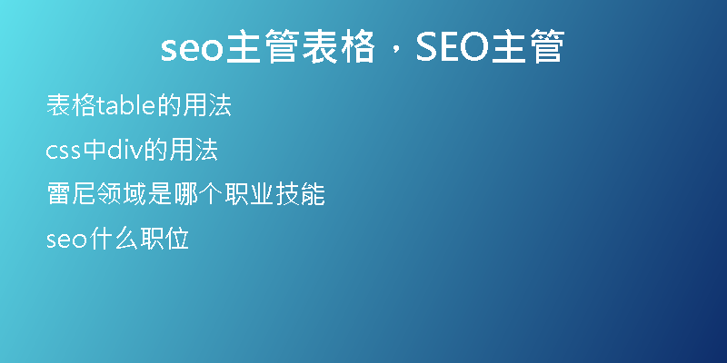 seo主管表格，SEO主管