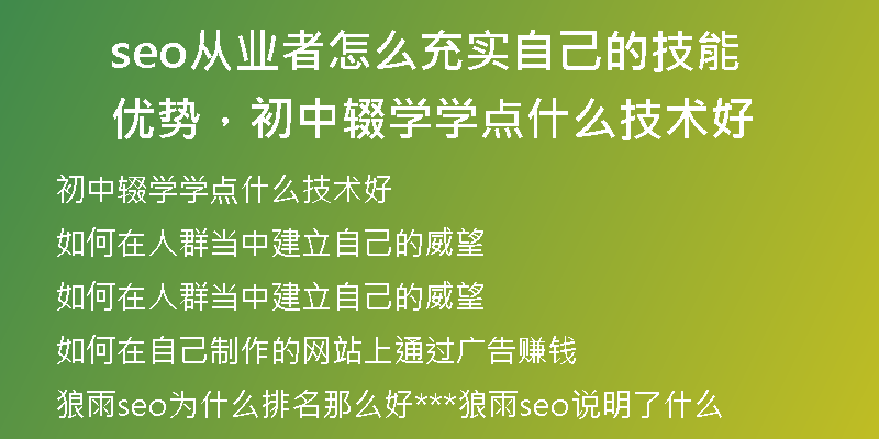 seo從業(yè)者怎么充實自己的技能優(yōu)勢，初中輟學學點什么技術好