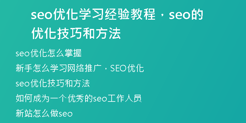 seo優(yōu)化學(xué)習(xí)經(jīng)驗(yàn)教程，seo的優(yōu)化技巧和方法