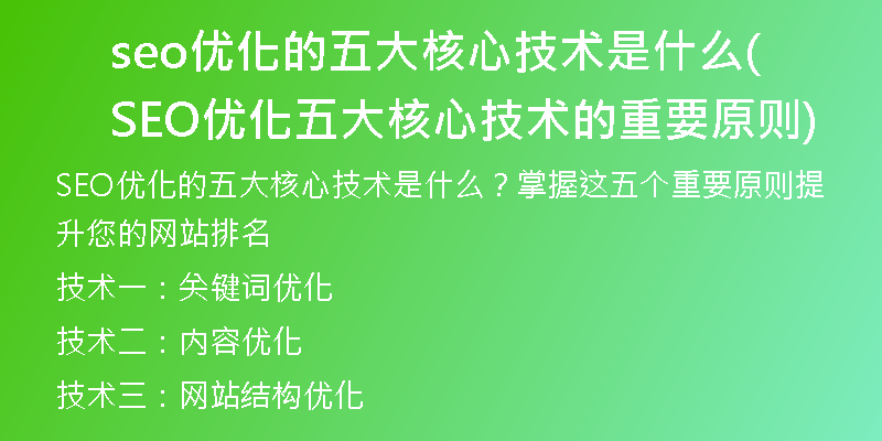 seo優(yōu)化的五大核心技術(shù)是什么(SEO優(yōu)化五大核心技術(shù)的重要原則)