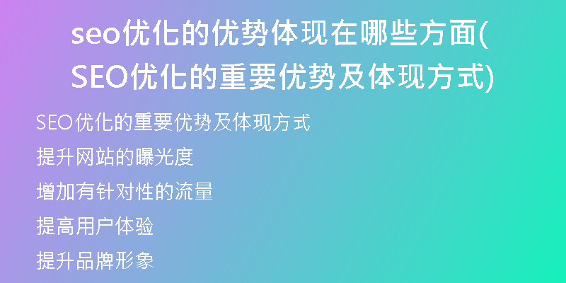seo優(yōu)化的優(yōu)勢體現(xiàn)在哪些方面(SEO優(yōu)化的重要優(yōu)勢及體現(xiàn)方式)
