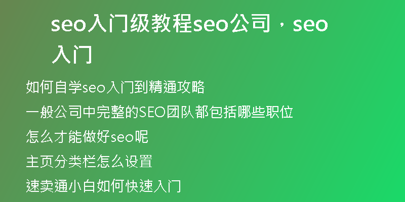 seo入門(mén)級(jí)教程seo公司，seo 入門(mén)