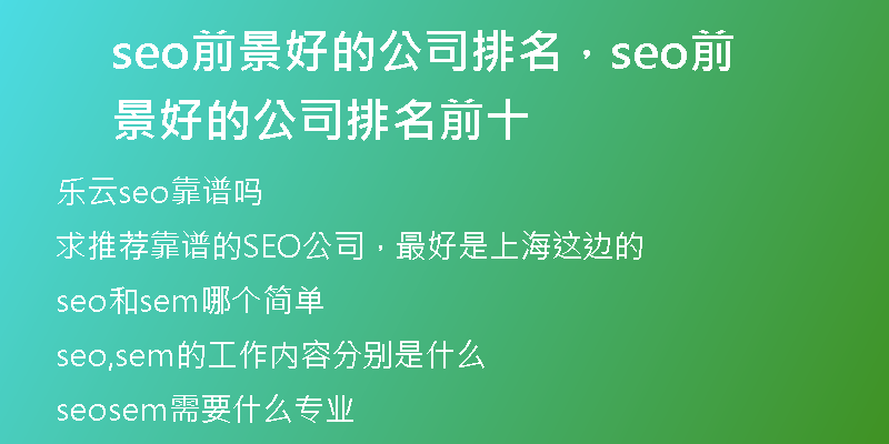 seo前景好的公司排名，seo前景好的公司排名前十
