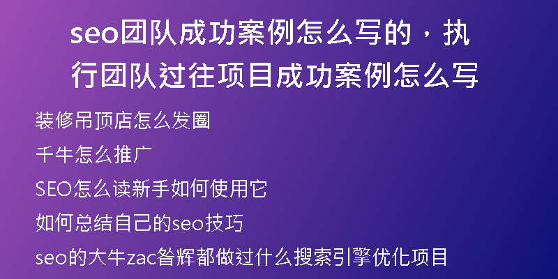 seo團(tuán)隊(duì)成功案例怎么寫的，執(zhí)行團(tuán)隊(duì)過往項(xiàng)目成功案例怎么寫