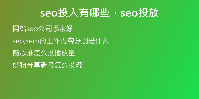 seo投入有哪些，seo投放