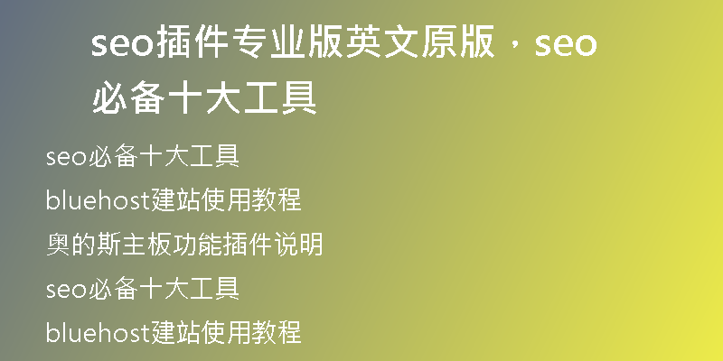 seo插件專業(yè)版英文原版，seo必備十大工具
