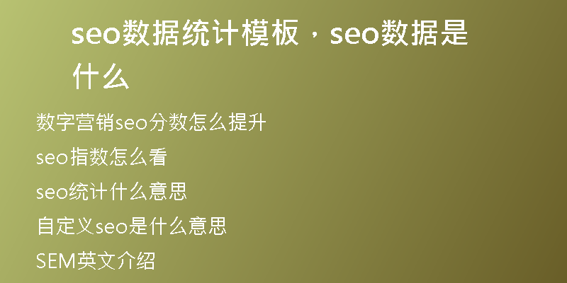 seo數(shù)據(jù)統(tǒng)計(jì)模板，seo數(shù)據(jù)是什么