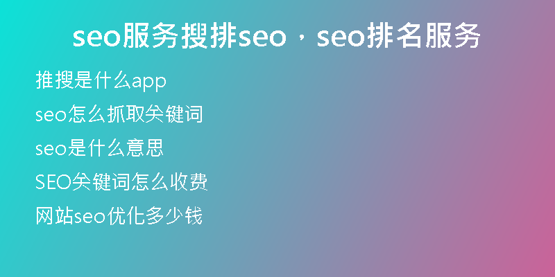 seo服務(wù)搜排seo，seo排名服務(wù)