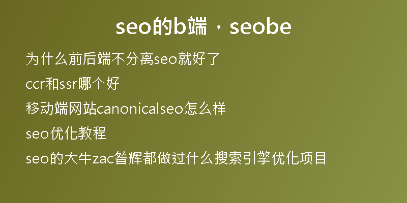 seo的b端，seobe