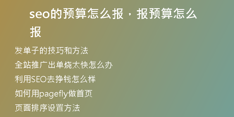 seo的預(yù)算怎么報(bào)，報(bào)預(yù)算怎么報(bào)