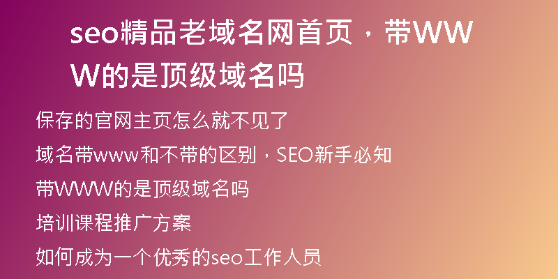 seo精品老域名網(wǎng)首頁(yè)，帶WWW的是頂級(jí)域名嗎