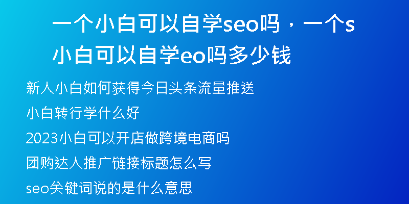 一個小白可以自學(xué)seo嗎，一個小白可以自學(xué)seo嗎多少錢