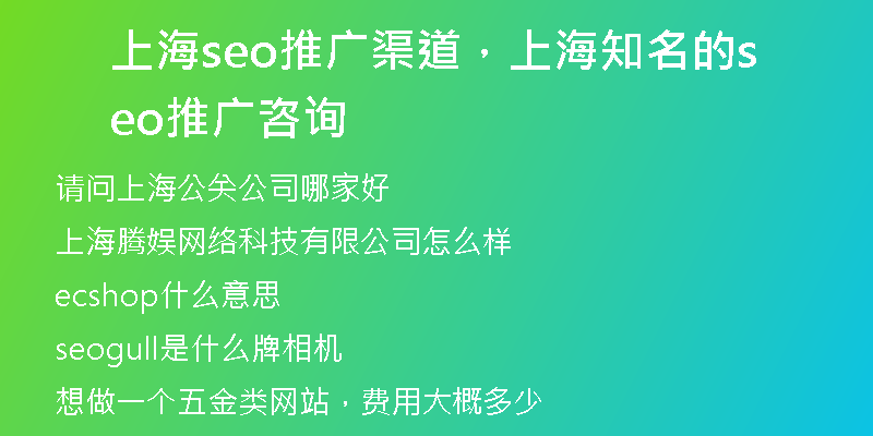 上海seo推廣渠道，上海知名的seo推廣咨詢