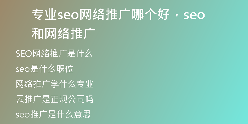 專業(yè)seo網(wǎng)絡推廣哪個好，seo和網(wǎng)絡推廣